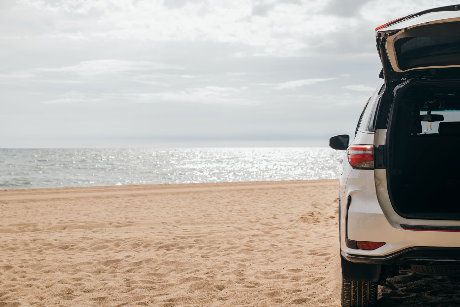 A trip to the beach